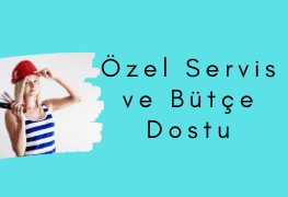 Özel Çine Alarko Servisi