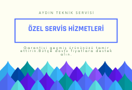 Aydın Samsung Özel Servisi